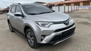 Toyota RAV4 2018 Gray