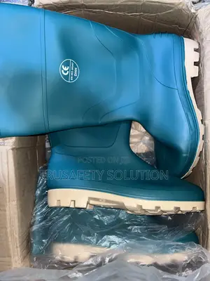 Wellington Boot