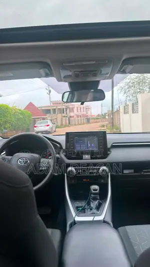Toyota RAV4 XLE Premium AWD 2020 Green