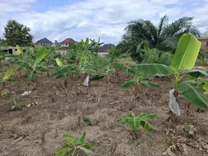 Full Plot of Land for Sale in Sokoban Afrancho