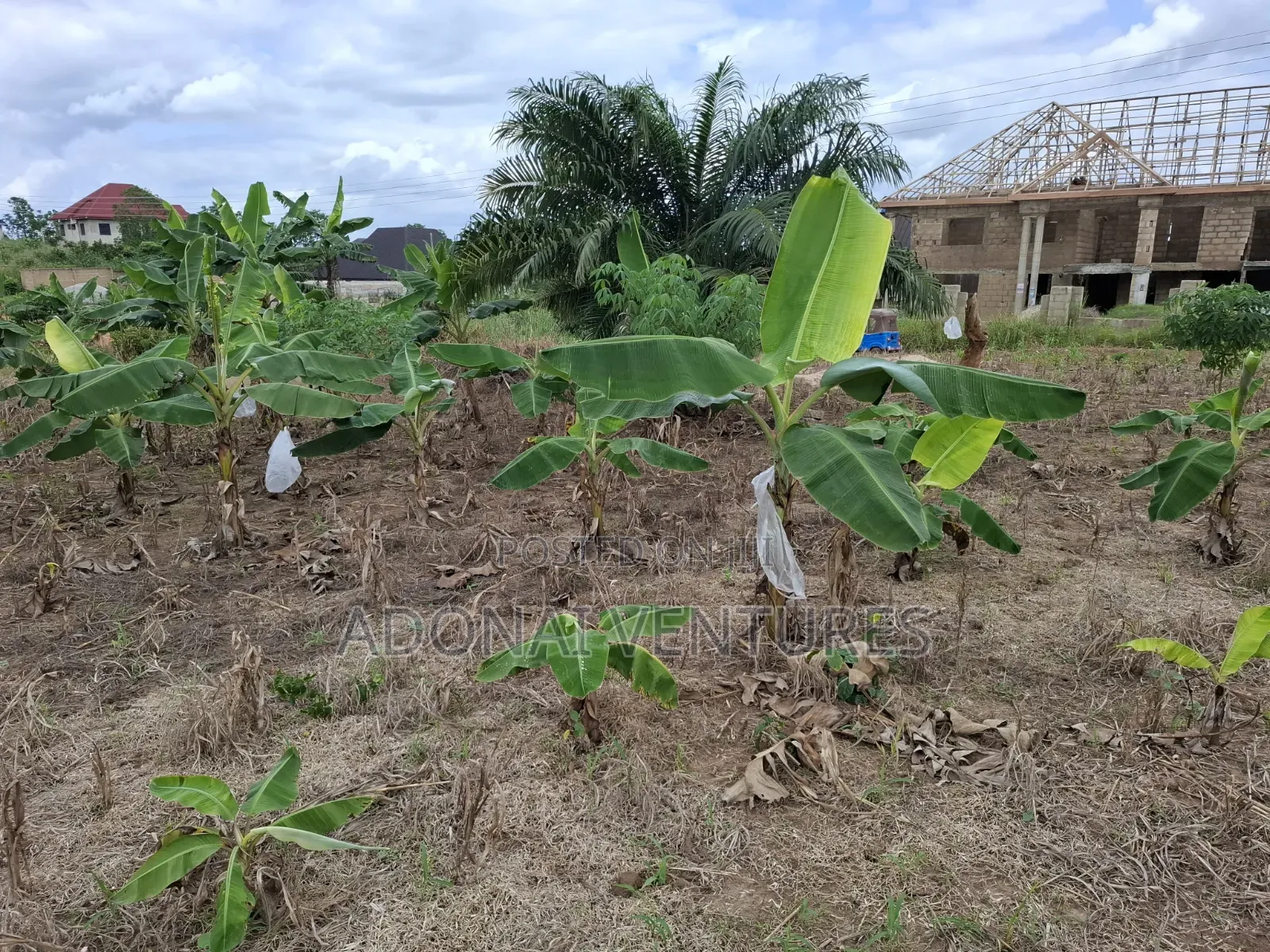Full Plot of Land for Sale in Sokoban Afrancho