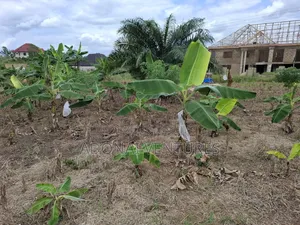 Full Plot of Land for Sale in Sokoban Afrancho