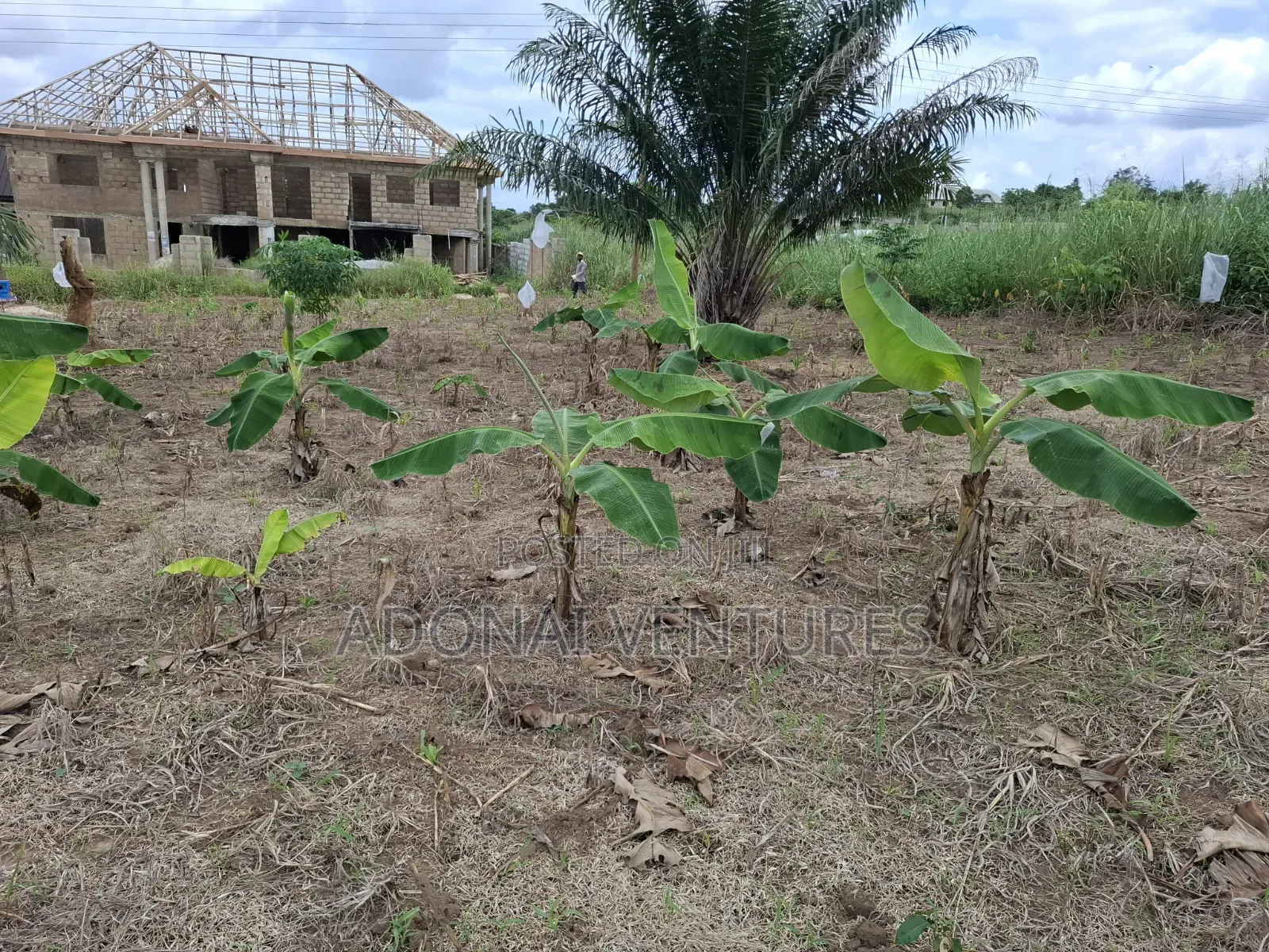 Full Plot of Land for Sale in Sokoban Afrancho