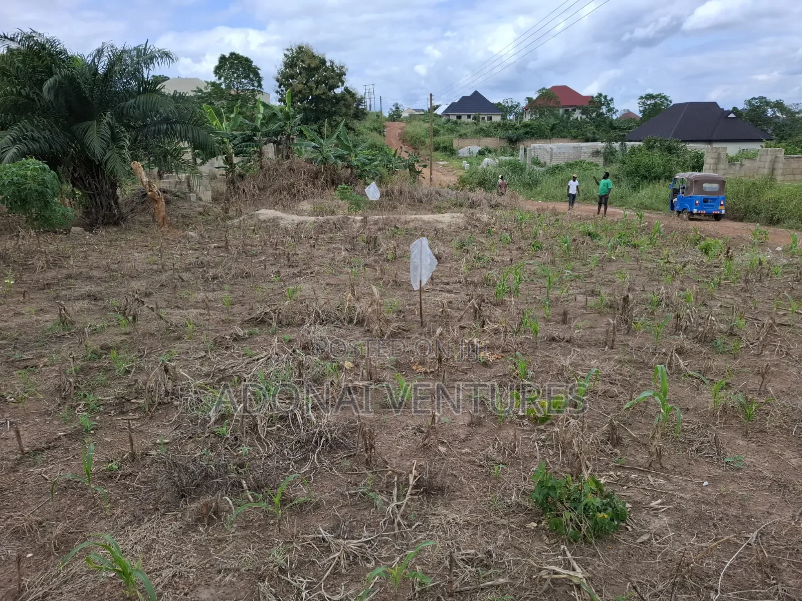 Full Plot of Land for Sale in Sokoban Afrancho