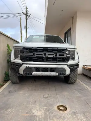 Ford F-150 Raptor 2024 Gray