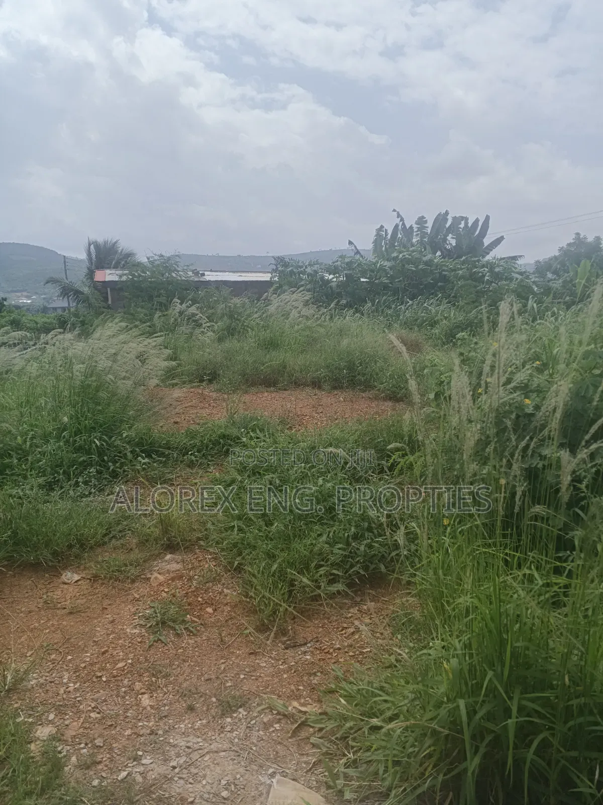 Half Plot for Sale at Oyibi Bawaleshi