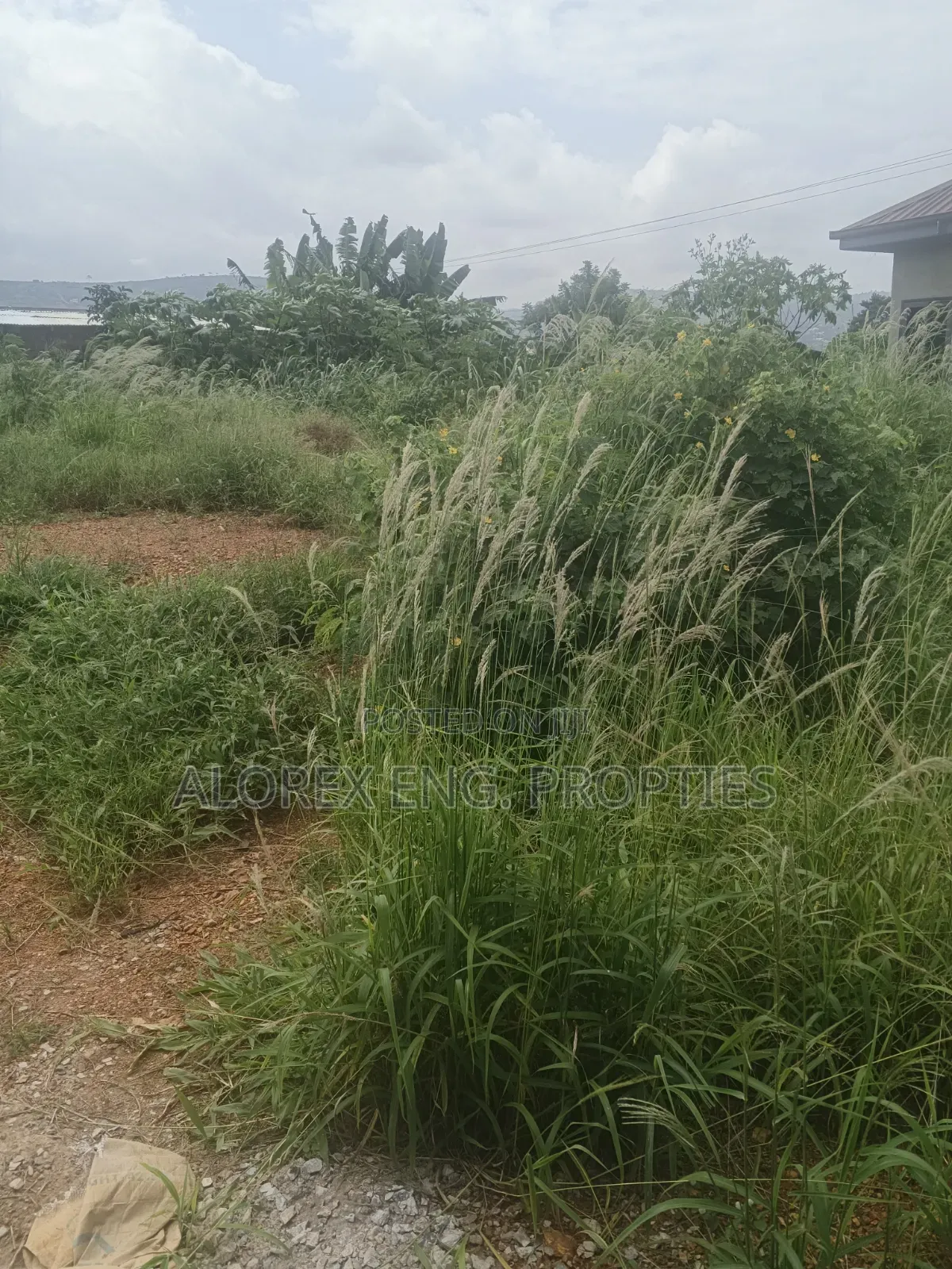 Half Plot for Sale at Oyibi Bawaleshi