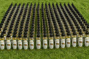 Ceffa Hair Growth Oil