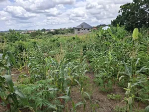 Full Plot of Land for Sale in Sokoban Konkorl
