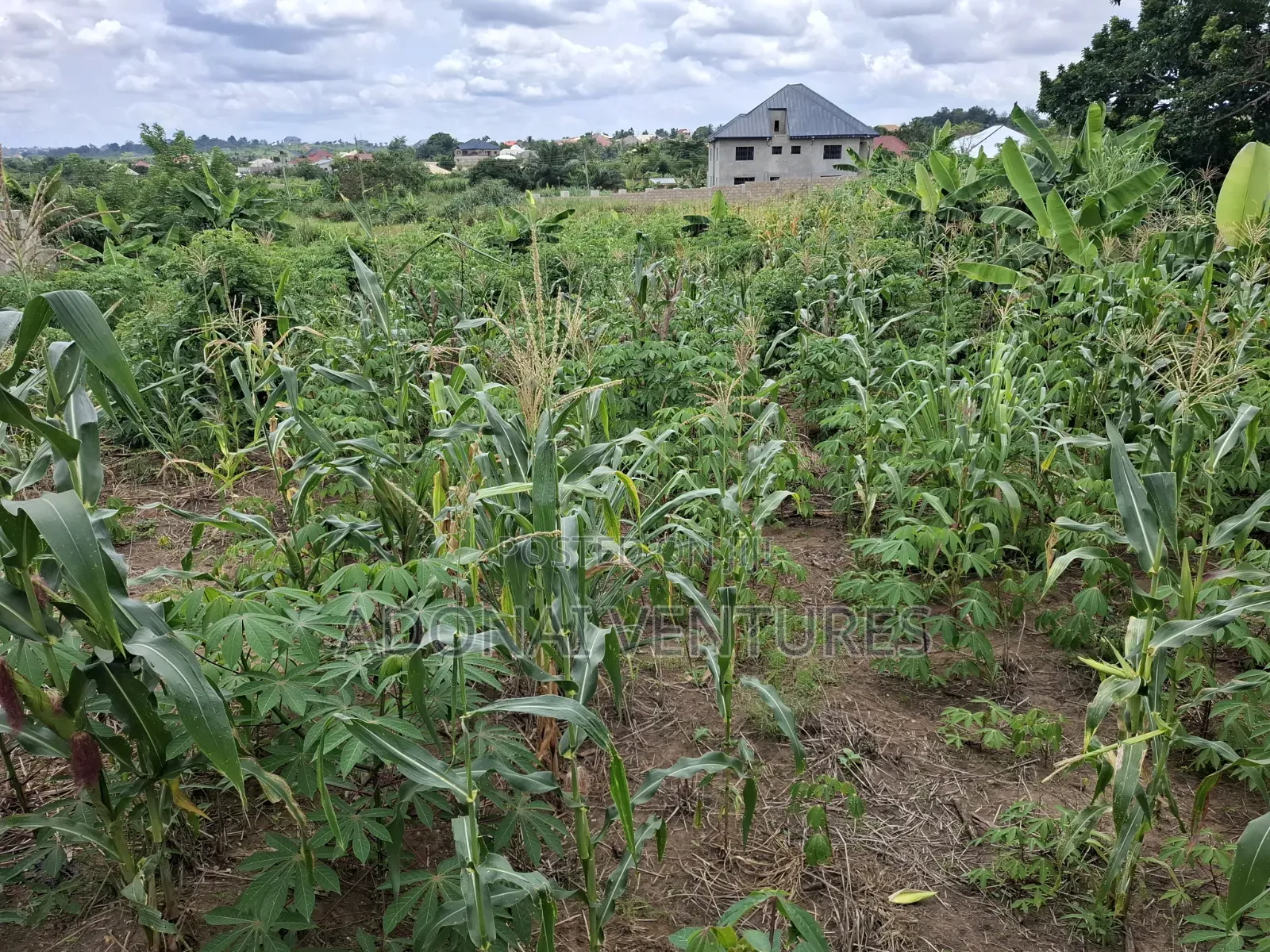 Full Plot of Land for Sale in Sokoban Konkorl