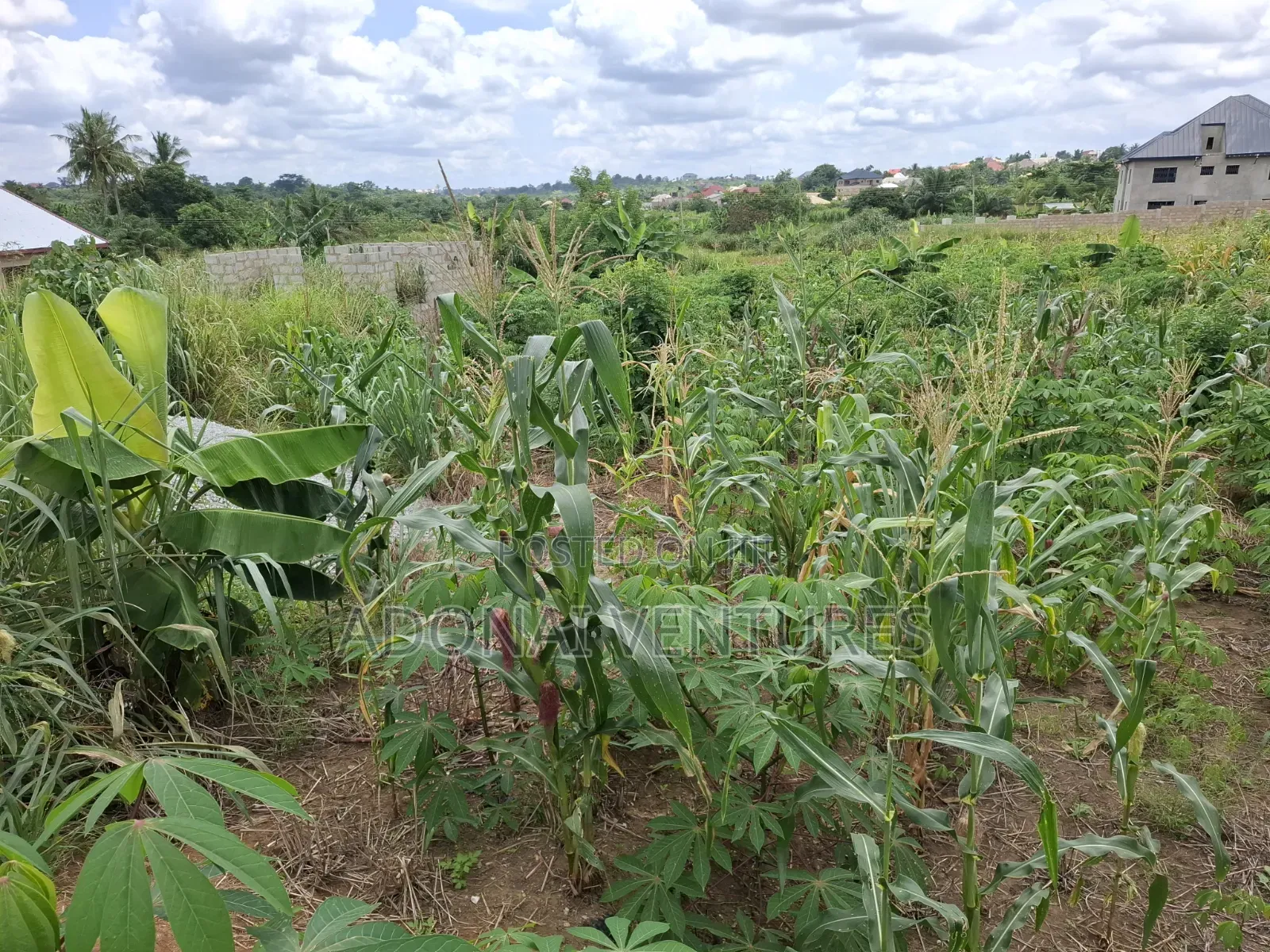 Full Plot of Land for Sale in Sokoban Konkorl
