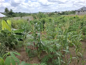 Full Plot of Land for Sale in Sokoban Konkorl