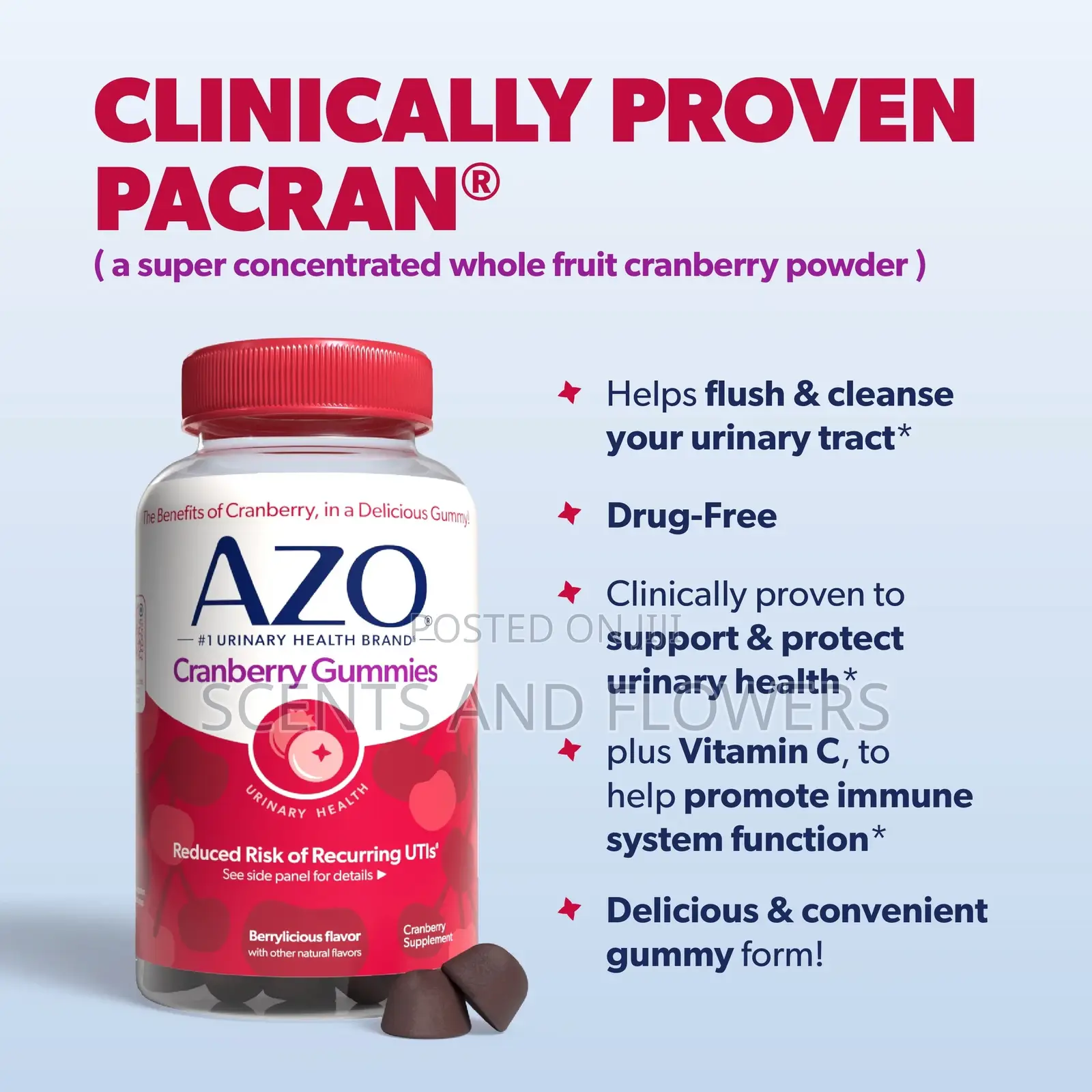 Azo Cranberry Gummies