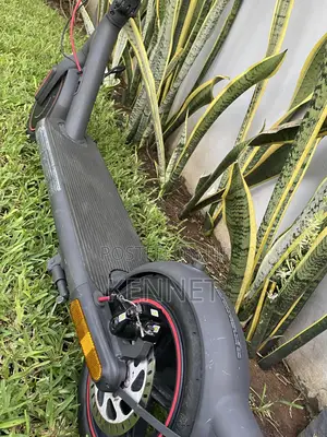 Eletric Scooter