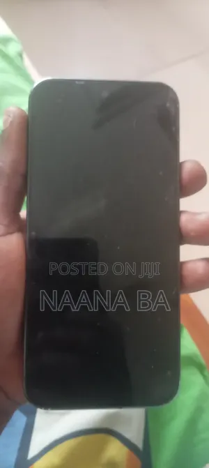 Google Pixel 9 Pro XL 256 GB Black