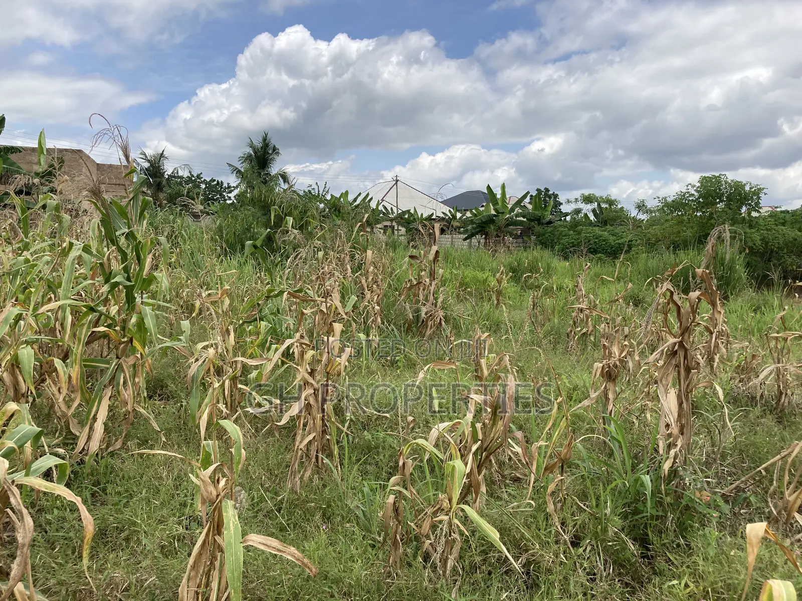 One Plot for Sale at Trede Konkoli.