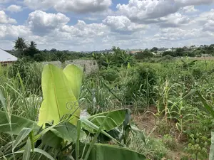 1 Plot for Sale at Trade Konkoli.2 Minutes Walk to Main Road.