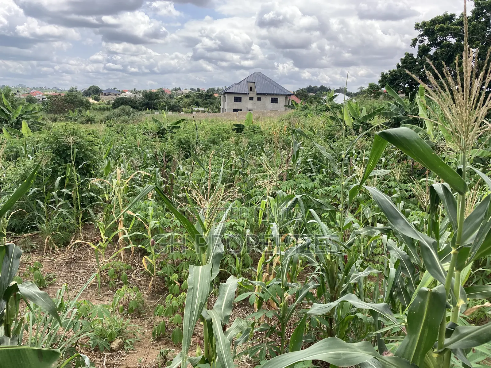 1 Plot for Sale at Trade Konkoli.2 Minutes Walk to Main Road.