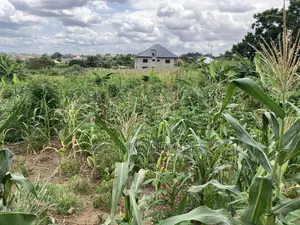 1 Plot for Sale at Trade Konkoli.2 Minutes Walk to Main Road.