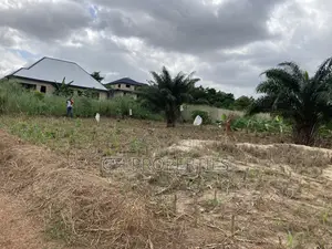 One Plot for Sale at Kwanwoma Duropem.