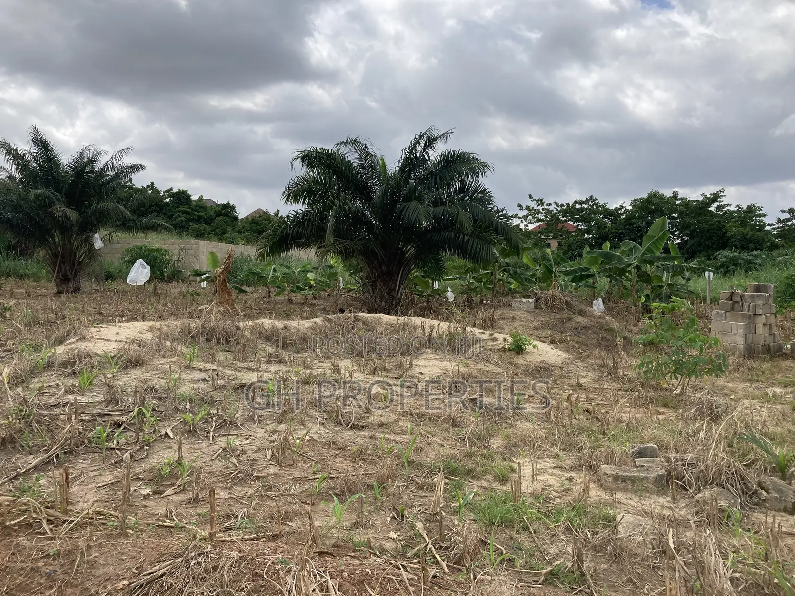One Plot for Sale at Kwanwoma Duropem.