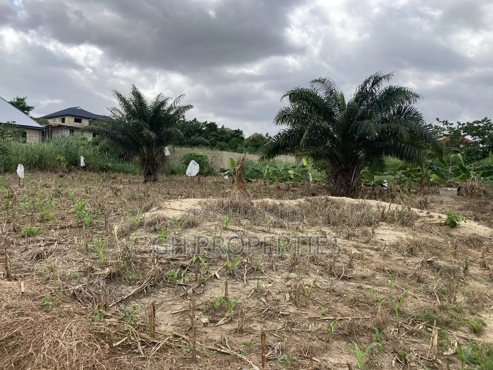 One Plot for Sale at Kwanwoma Duropem.