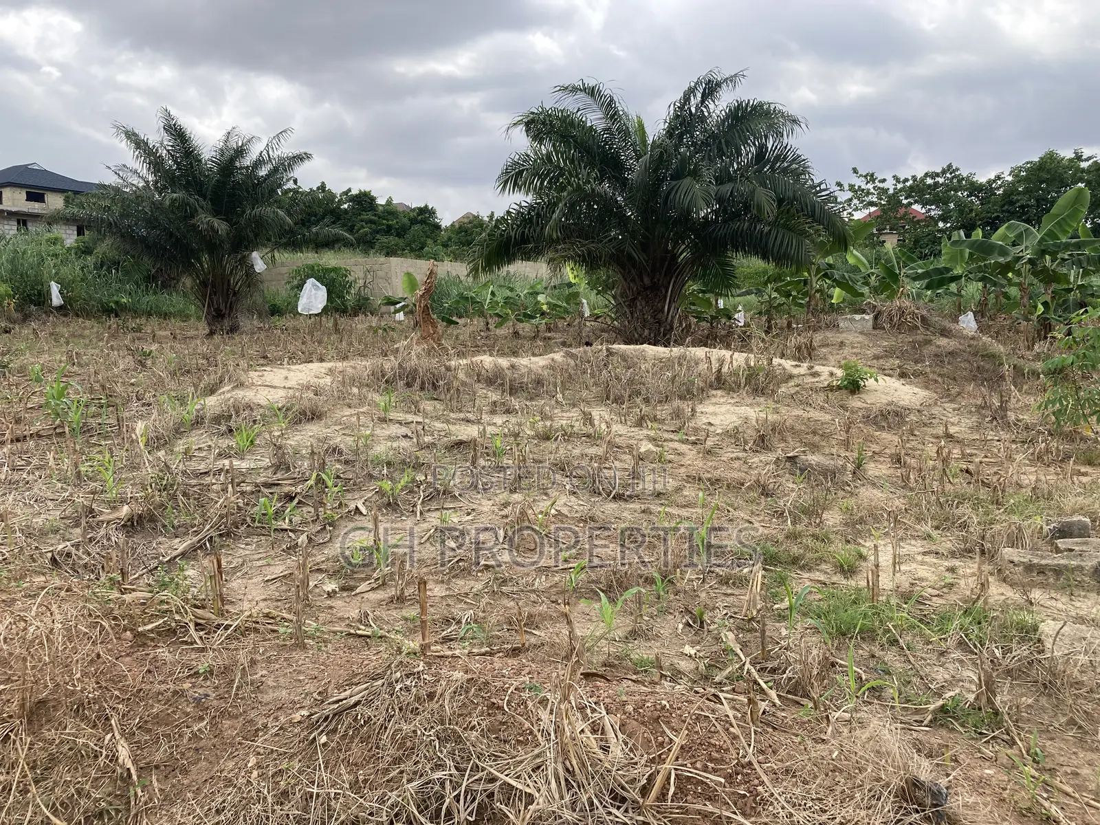 One Plot for Sale at Kwanwoma Duropem.