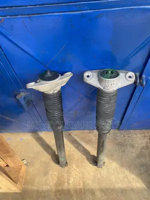 Santa Fe 2018/19/20 Back Shocks