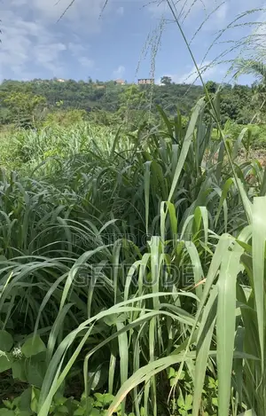 Registered 10 Acres by Safari Valley Eco Park