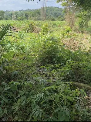 Registered 10 Acres by Safari Valley Eco Park
