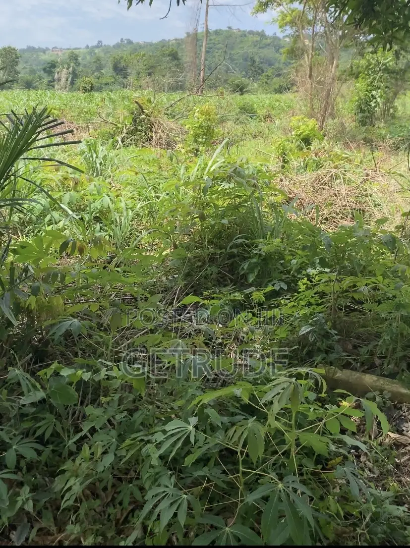 Registered 10 Acres by Safari Valley Eco Park