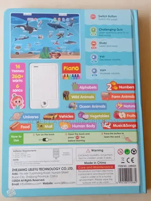 Interactive Talking Book