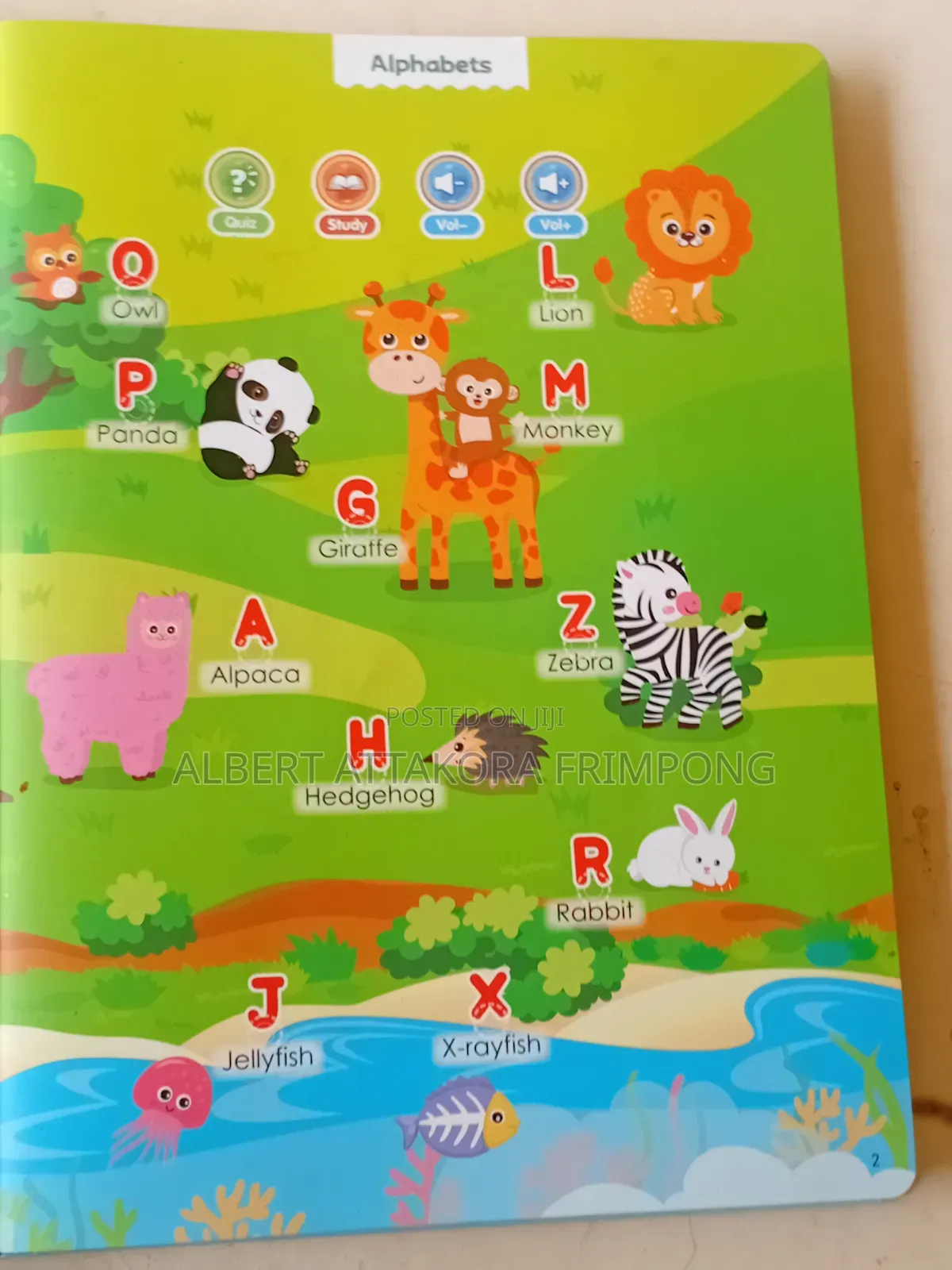 Interactive Talking Book