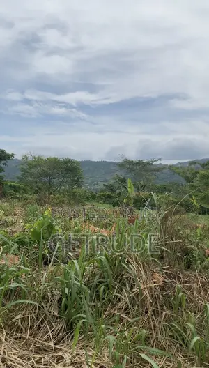 Registered 40 Acres on Mountain Around Safari Valley Eco Park
