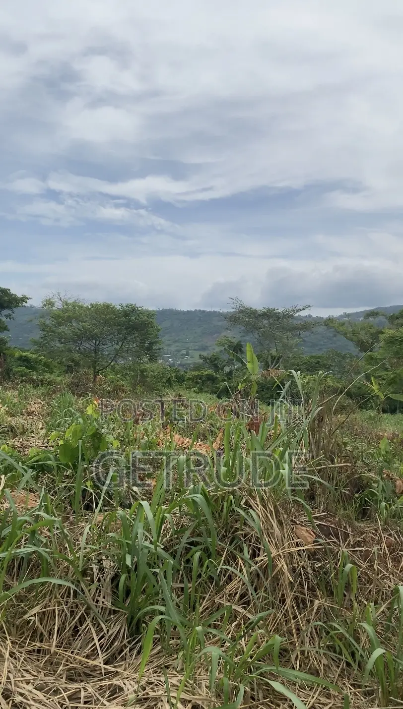 Registered 40 Acres on Mountain Around Safari Valley Eco Park