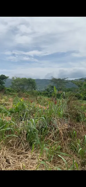 Registered 40 Acres on Mountain Around Safari Valley Eco Park