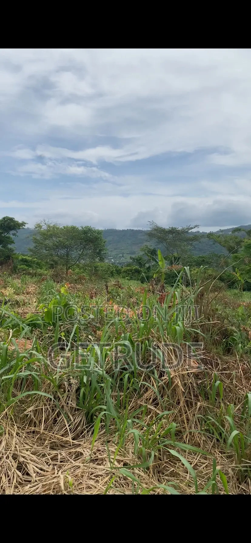 Registered 40 Acres on Mountain Around Safari Valley Eco Park