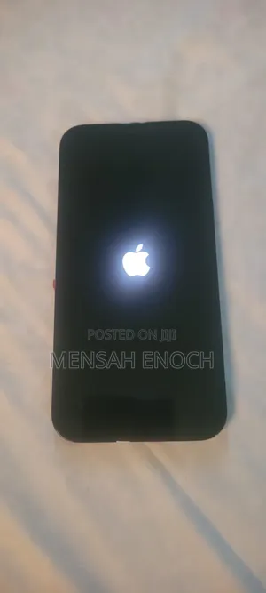 Apple iPhone 12 Pro Max 256 GB Gray