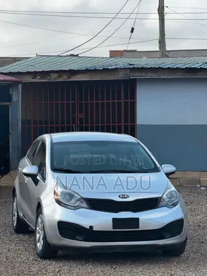Kia Rio EX 4dr Sedan (1.6L 4cyl 6A) 2014 Silver