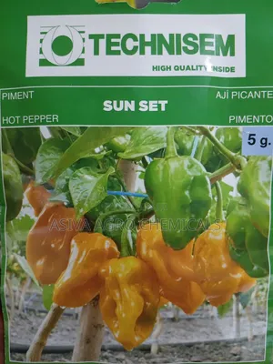 Sun Set Hot Pepper Seeds