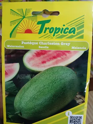 Watermelon Charleston Gray Seeds