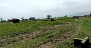 1 Plot of Land for Sale
