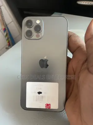 Apple iPhone 12 Pro 512 GB Gray