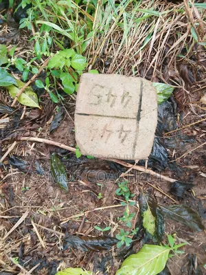 Plot at Tycco City Ring Rd,