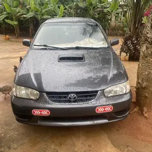 Toyota Corolla 2007 Gray