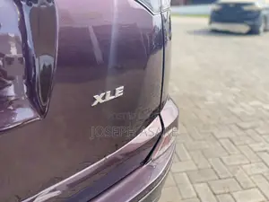 Toyota RAV4 XLE 4dr SUV AWD (2.5L 4cyl 6A) 2018 Brown