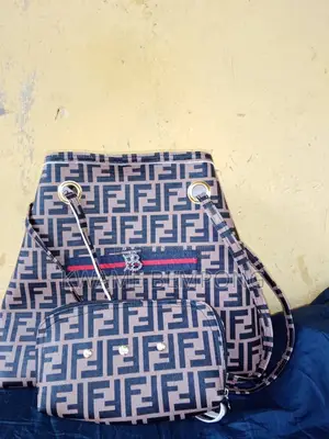 Ladies Bag With Purse