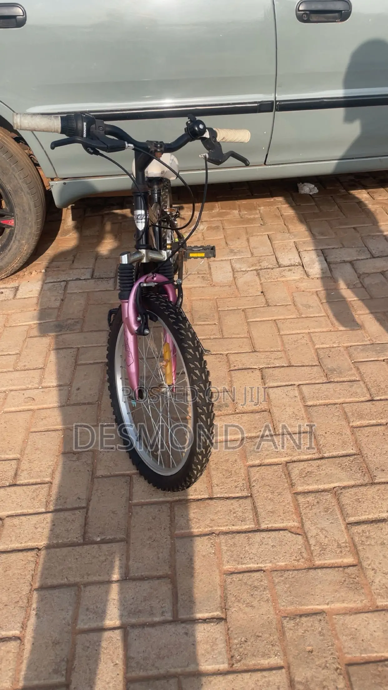 Foreign Bike