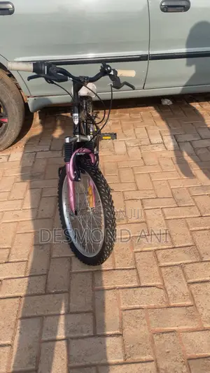 Foreign Bike