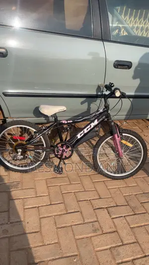 Foreign Bike